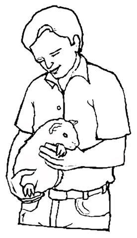 Guinea Pig In The Hands  Coloring Page